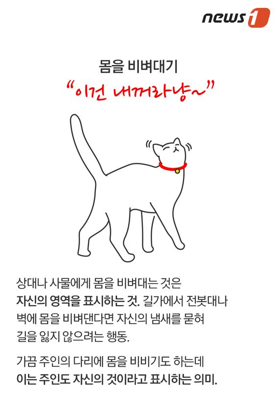 본문 이미지 - ⓒ News1