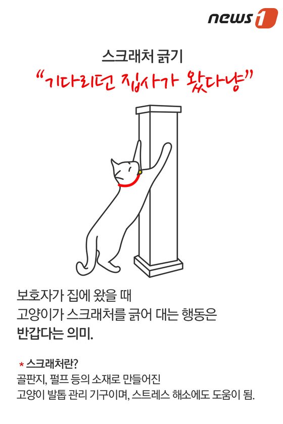 본문 이미지 - ⓒ News1