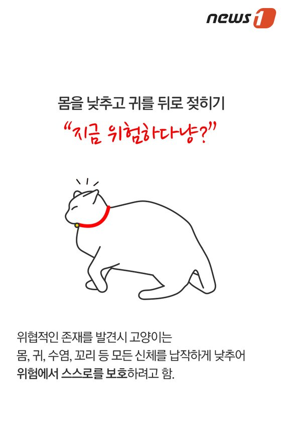 본문 이미지 - ⓒ News1