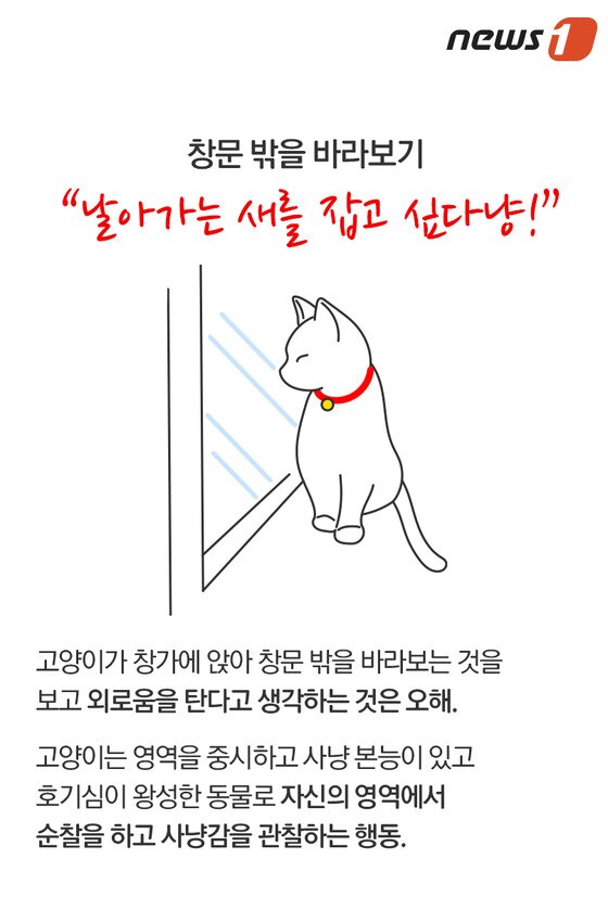 본문 이미지 - ⓒ News1