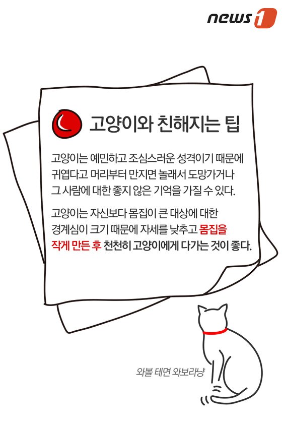 본문 이미지 - ⓒ News1   