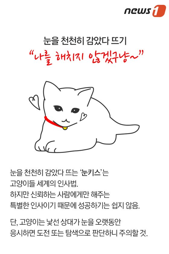 본문 이미지 - ⓒ News1