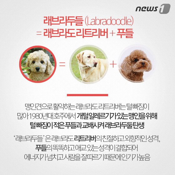 본문 이미지 - ⓒ News1