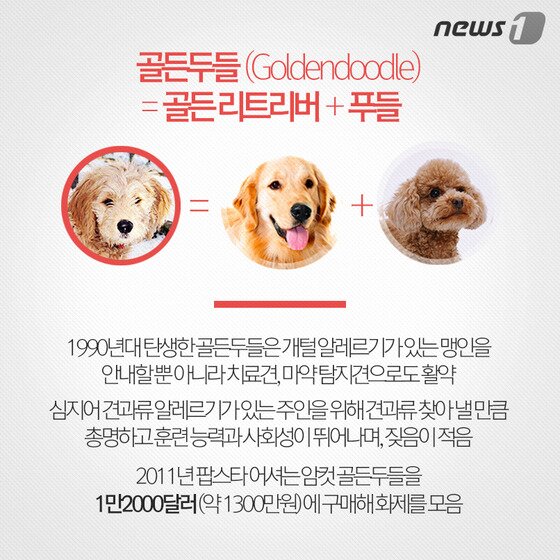 본문 이미지 - ⓒ News1