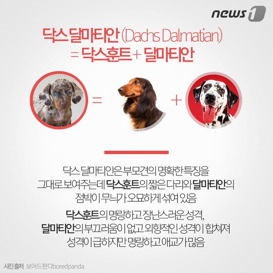 본문 이미지 - ⓒ News1