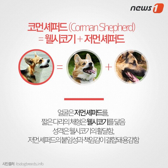 본문 이미지 - ⓒ News1