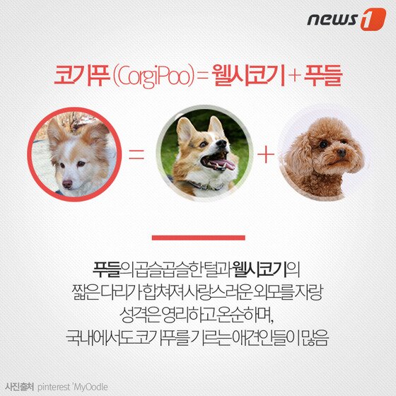 본문 이미지 - ⓒ News1