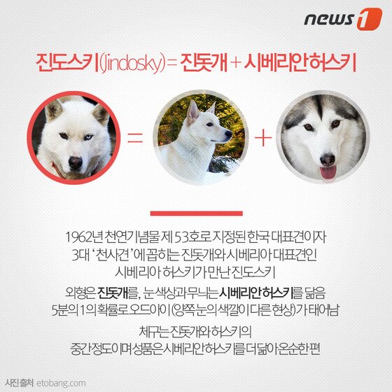 본문 이미지 - ⓒ News1