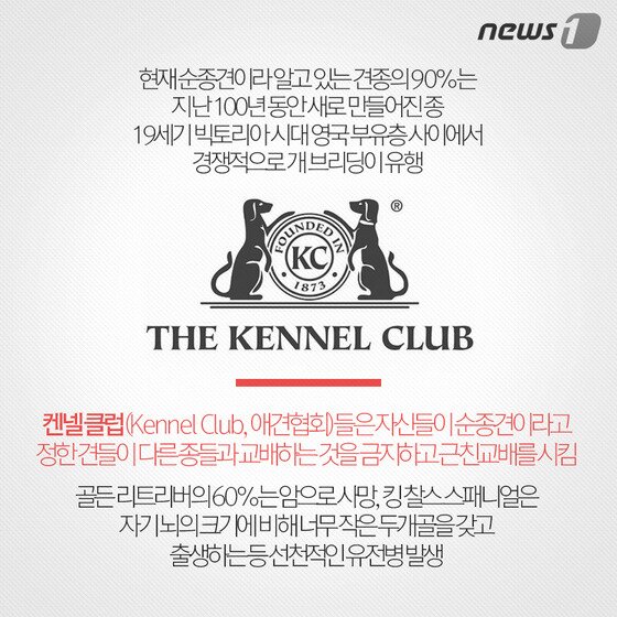 본문 이미지 - ⓒ News1