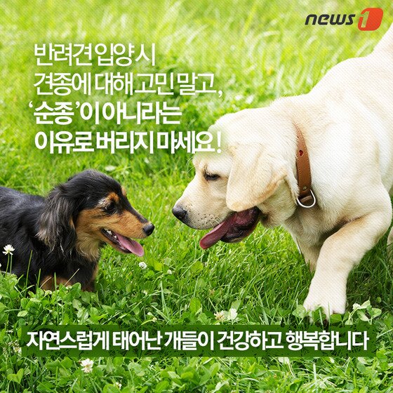 본문 이미지 - ⓒ News1