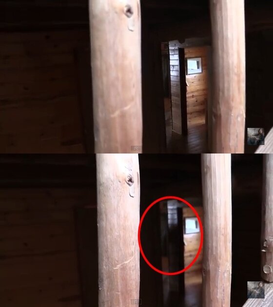 본문 이미지 - 통나무집에 나타난 검은 그림자의 존재에 관심이 쏠리고 있다. ⓒ News1star/ 유튜브