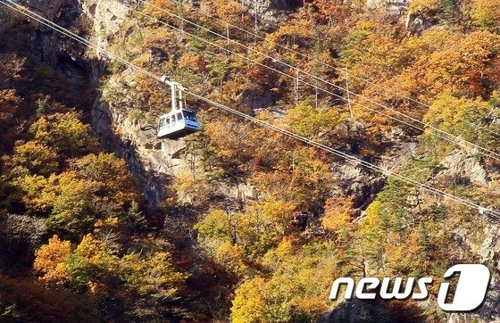본문 이미지 - 속초시 설악산 권금성 케이블카 <자료사진>