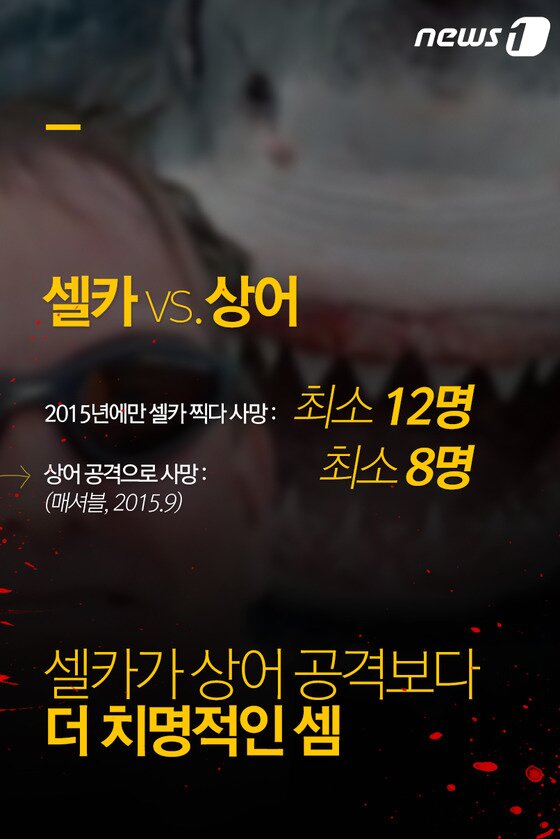 본문 이미지 -  