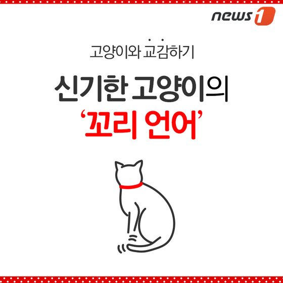 본문 이미지 - ⓒ News1