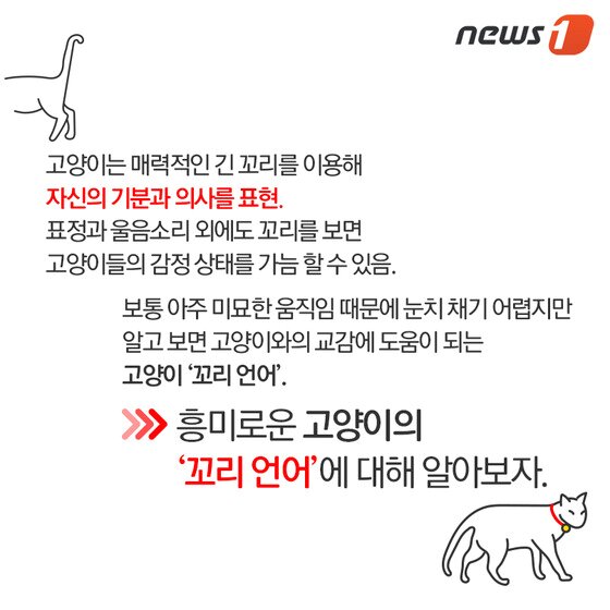 본문 이미지 - ⓒ News1