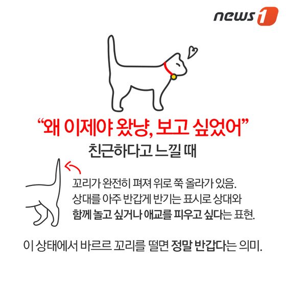 본문 이미지 - ⓒ News1