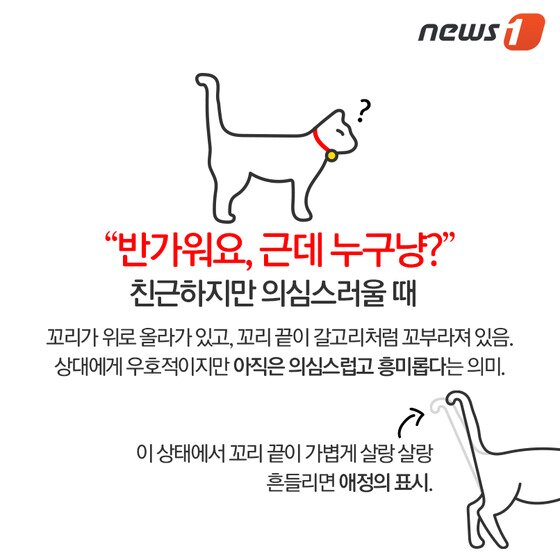 본문 이미지 - ⓒ News1