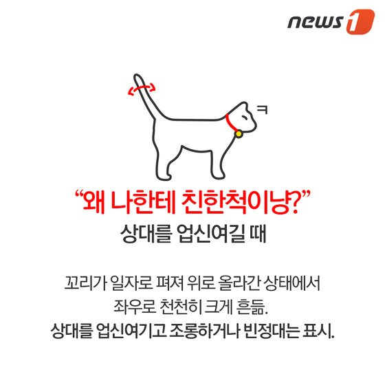 본문 이미지 - ⓒ News1