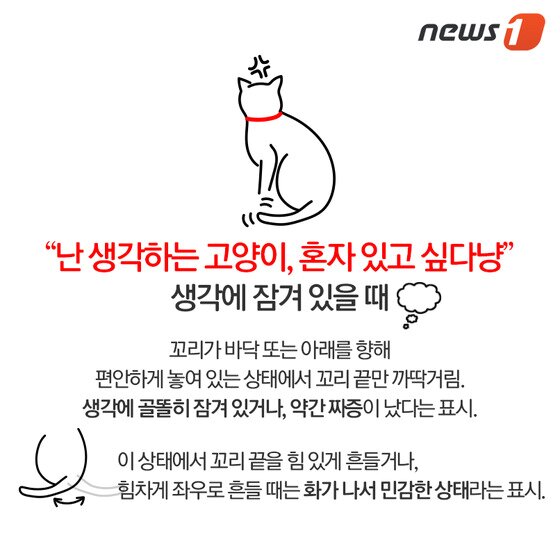 본문 이미지 - ⓒ News1