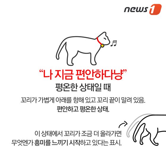 본문 이미지 - ⓒ News1