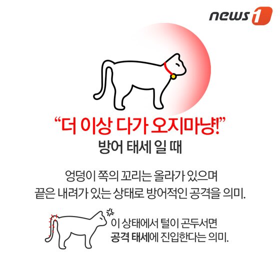 본문 이미지 - ⓒ News1