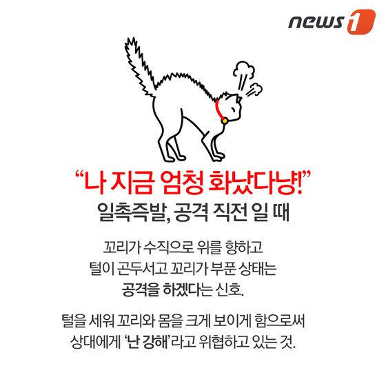 본문 이미지 - ⓒ News1