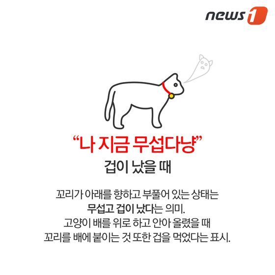 본문 이미지 - ⓒ News1