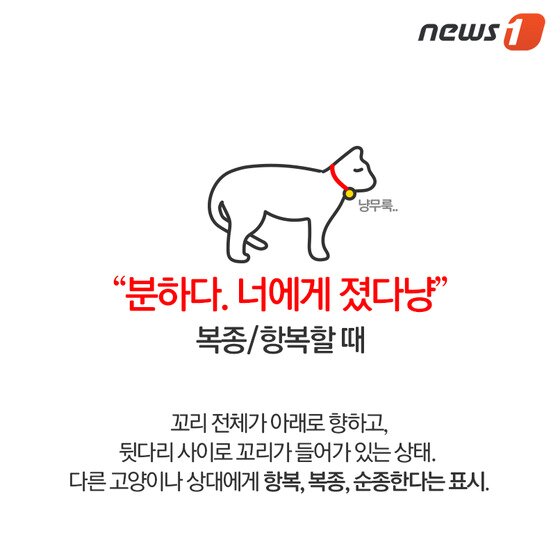 본문 이미지 - ⓒ News1