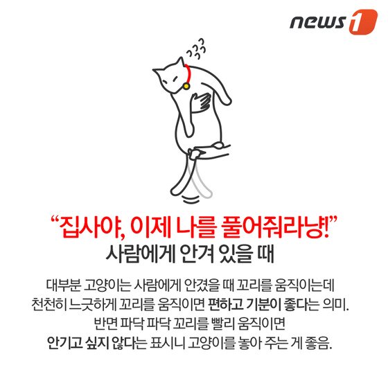 본문 이미지 - ⓒ News1