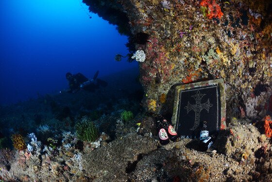 본문 이미지 - 필리핀 푸에르토 갈레라에는 수중 볼거리가 많아 다이버들에게 인기를 끌고 있다. ⓒ News1star / ScubaNet