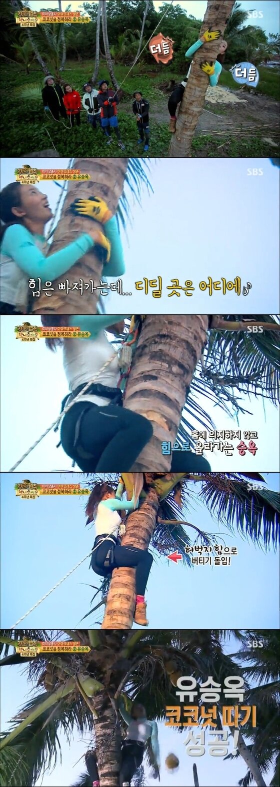 본문 이미지 - '정글의 법칙' 유승옥이 코코넛 열매 따기에 성공했다. ⓒ News1star / SBS '정글의 법칙 in 니키라과' 캡처