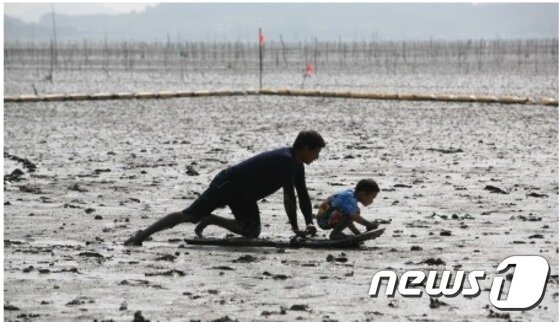 본문 이미지 - 어민들이 갯벌 이동시 사용하는 뻘배(널배)가 구조장비로 활용 하고 있다.ⓒ News1