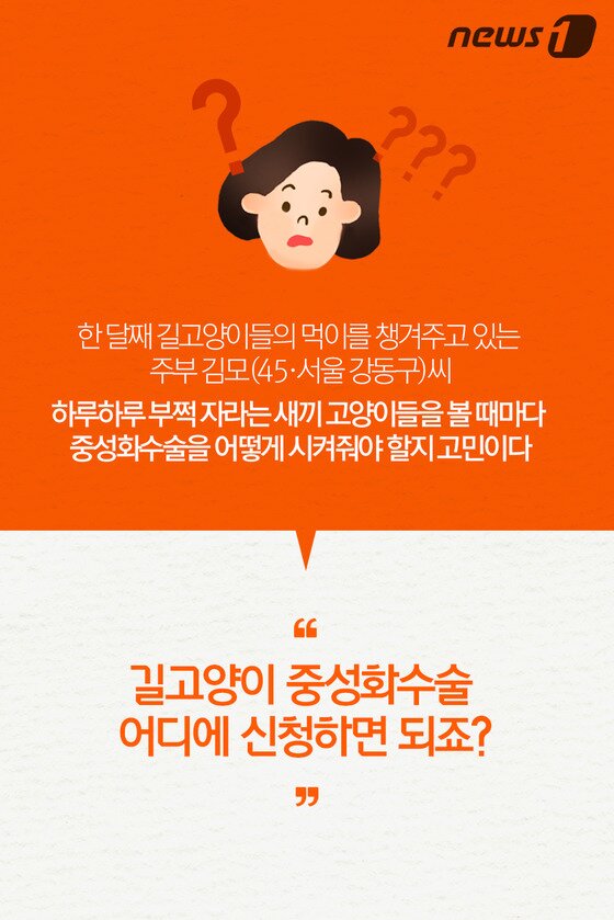 본문 이미지 - ⓒ News1