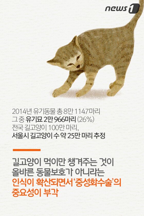 본문 이미지 - ⓒ News1