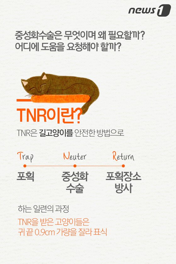 본문 이미지 - ⓒ News1