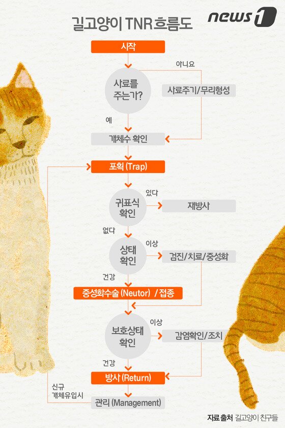 본문 이미지 - ⓒ News1