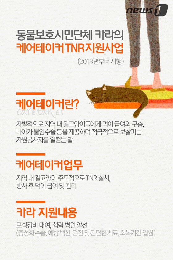 본문 이미지 - ⓒ News1