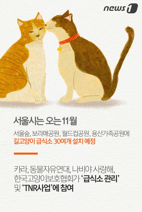 본문 이미지 - ⓒ News1