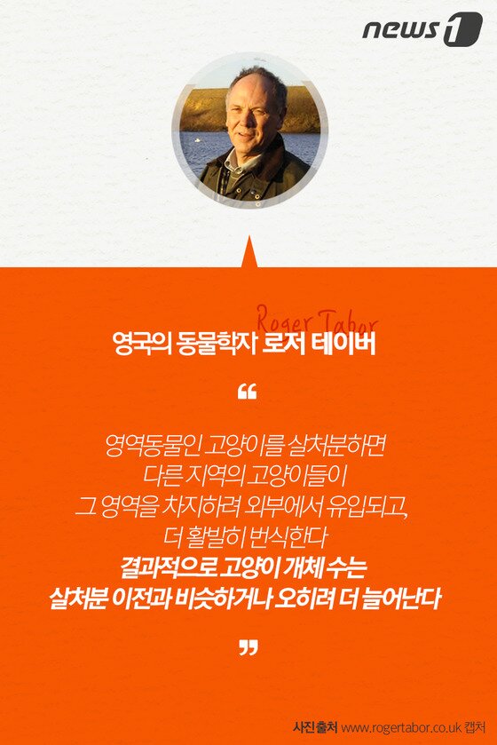 본문 이미지 - ⓒ News1