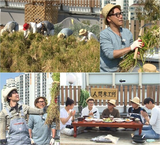 본문 이미지 - ‘인간의 조건’  첫 수확의 감동을 전했다. ⓒ News1star/KBS2 ‘인간의 조건-도시농부’