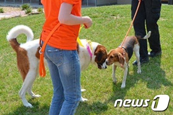 본문 이미지 - ⓒ News1