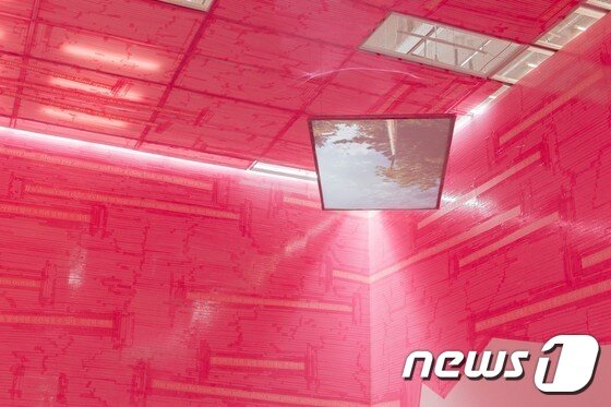 본문 이미지 - ⓒ News1