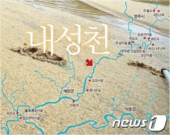 본문 이미지 - 경북 봉화군 물야면 오전리 선달산에서 발원해 110.69km를 흐르는 내성천./사진제공=대구환경운동연합ⓒ News1