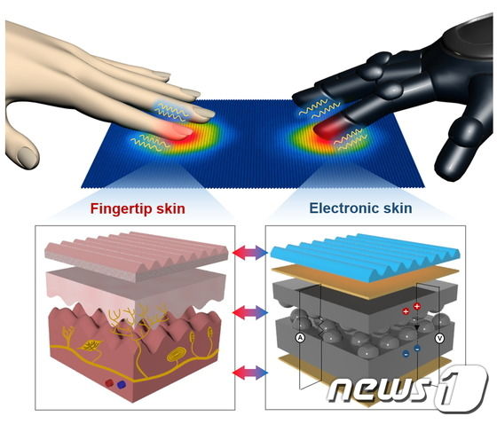 사람의 손가락 피부와 인공전자 피부 비교. © News1