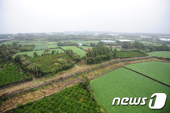 제주 제2공항 대상지로 선정된 제주 서귀포시 성산읍 신산리 전경. 2015.11.10/뉴스1 © News1