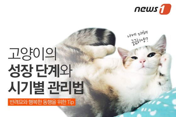 본문 이미지 - ⓒ News1