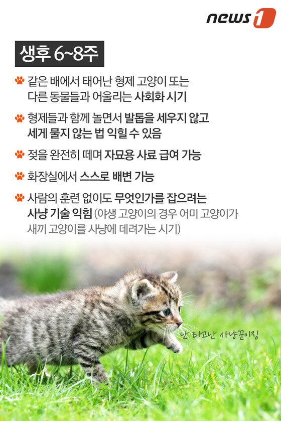 본문 이미지 - ⓒ News1