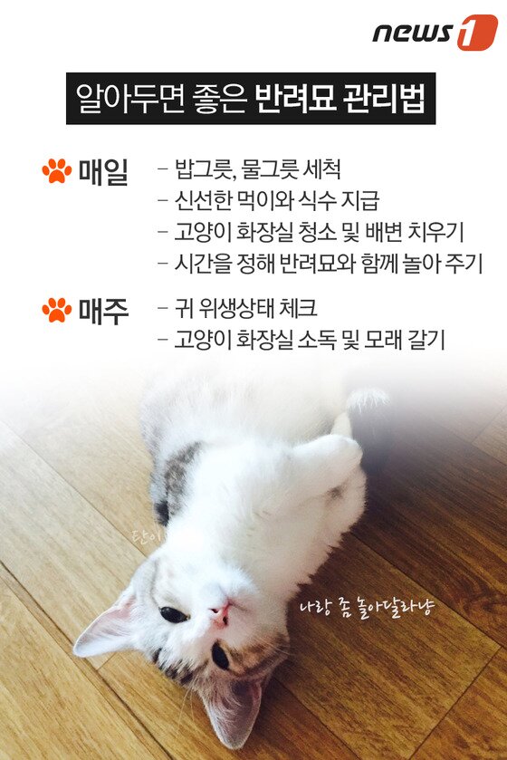 본문 이미지 - ⓒ News1