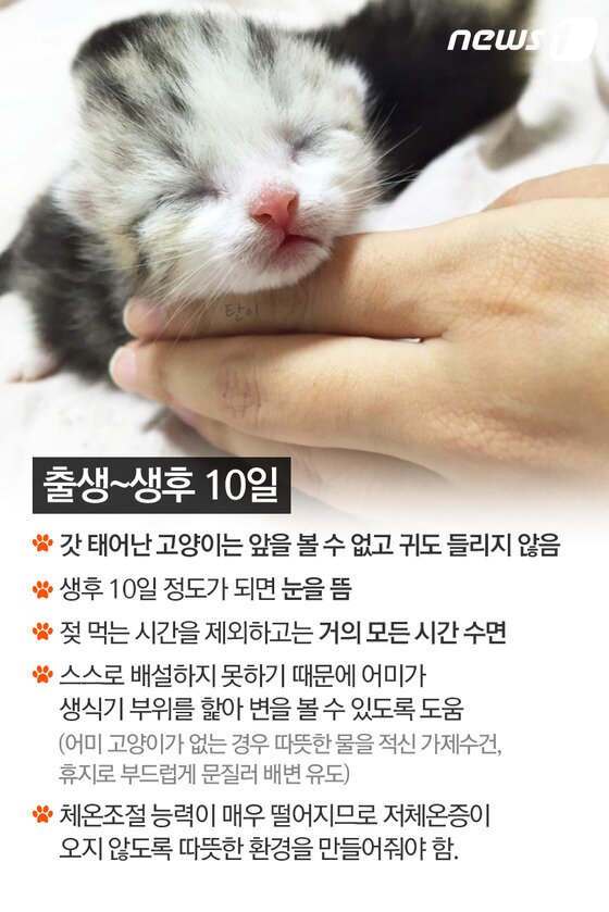 본문 이미지 - ⓒ News1