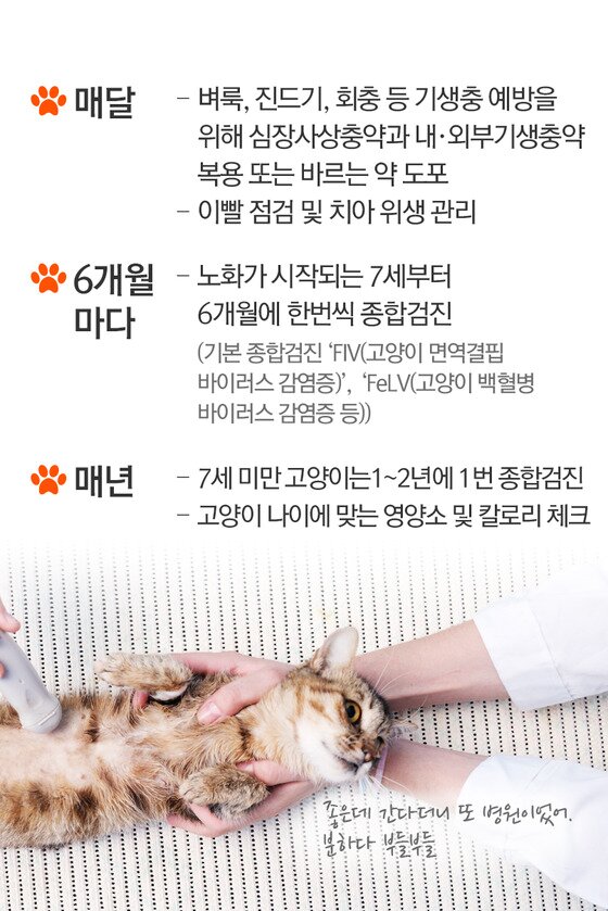 본문 이미지 - ⓒ News1